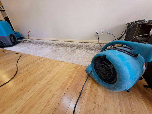 Professional Structural Drying technician working in Anna, TX